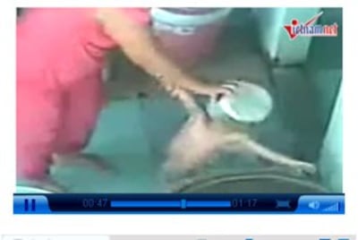 Cảnh hành hạ em bé 3 tuổi