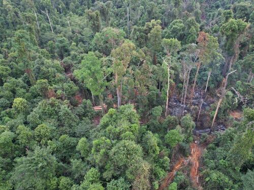 ពលរដ្ឋអះអាងថា បក្សពួករបស់មេឃុំកំពង់ស្រឡៅ២កំពុងកាប់ឈើយកទៅលក់នៅប្រទេសឡាវ