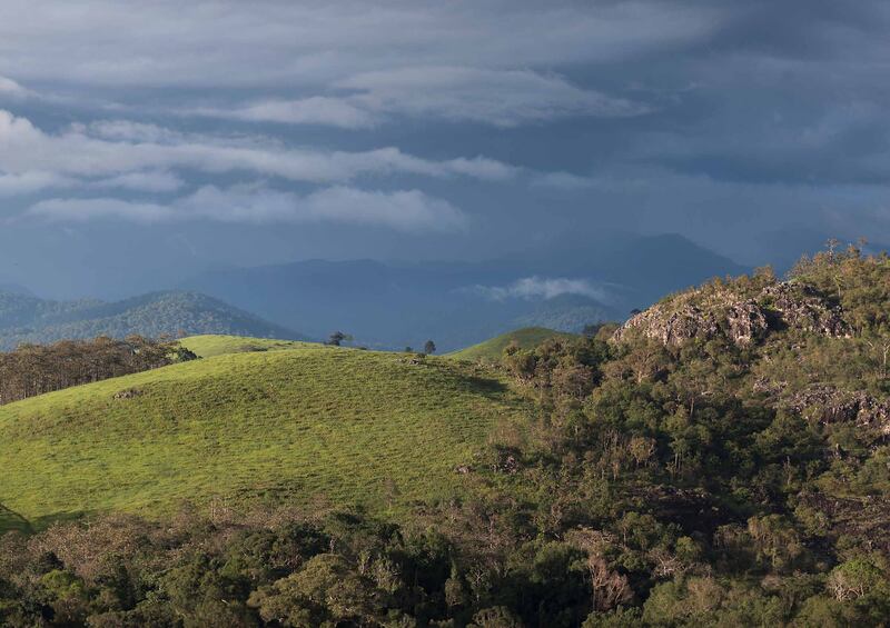 This undated photo shows grasslands and forest in Cambodia’s Virachey National Park.