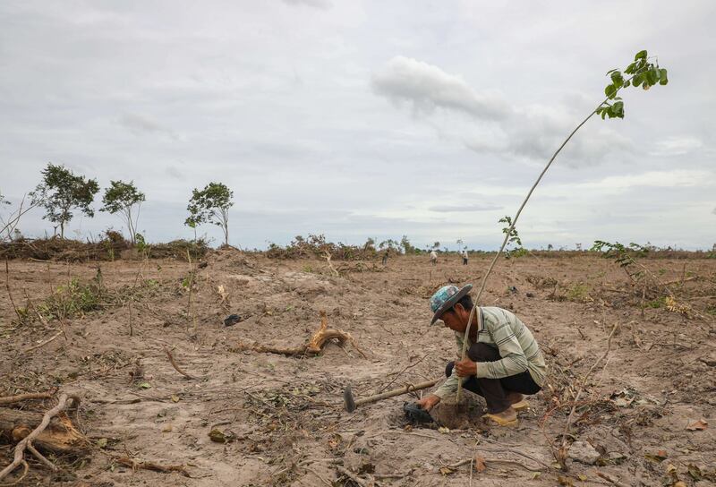 Phnom Tamao Reforestation_ 9955.jpg